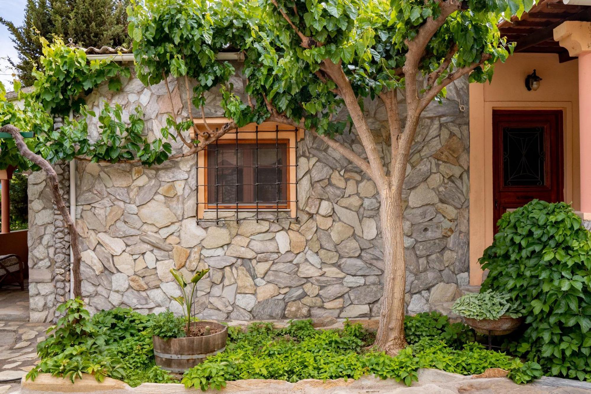 Dm Elegant And Charming Villa Foinikia  Екстер'єр фото