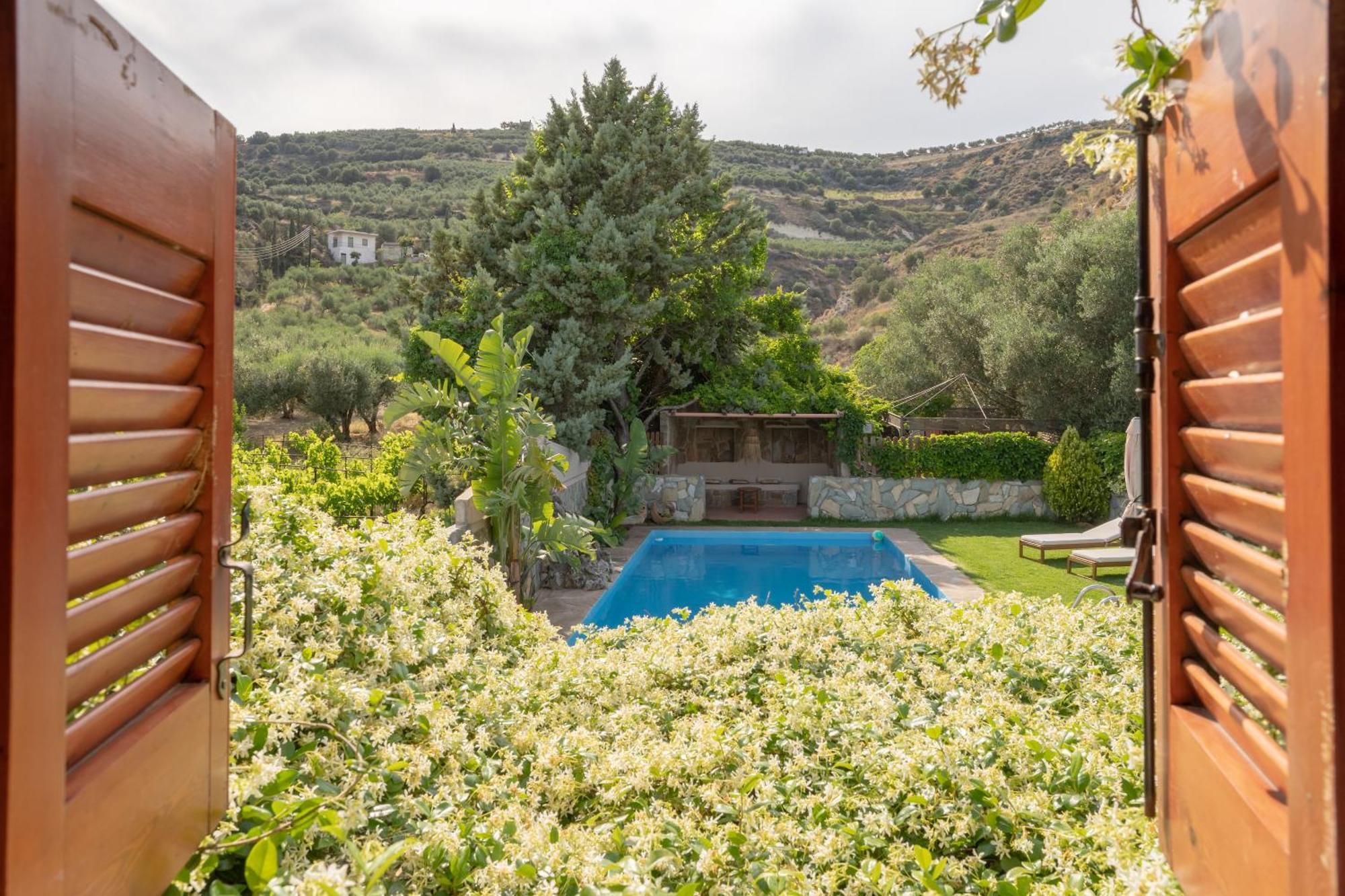 Dm Elegant And Charming Villa Foinikia  Екстер'єр фото