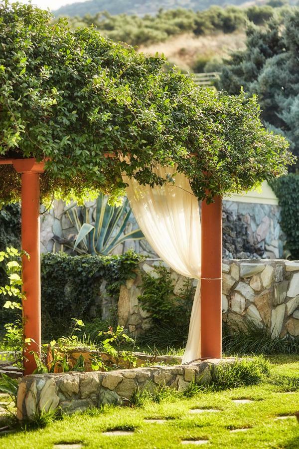 Dm Elegant And Charming Villa Foinikia  Екстер'єр фото